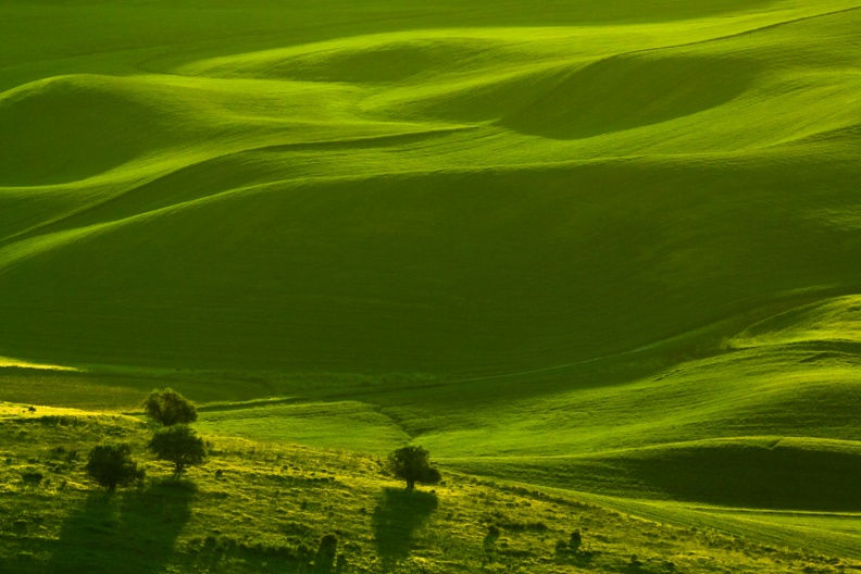 Palouse06-08-13-58.jpg