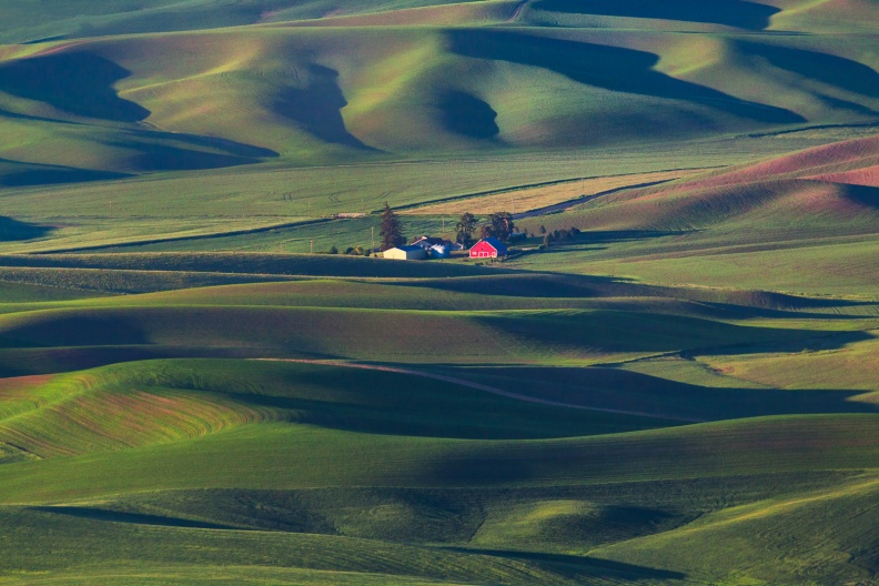 Palouse06-08-13-96-Edit.jpg