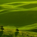Palouse06-08-13-58.jpg