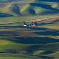 Palouse06-08-13-96-Edit.jpg